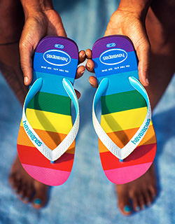 Havaianas owner online