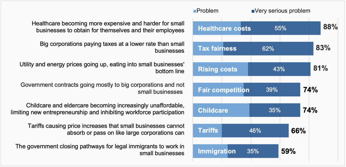 Voters identify the most pressing problems facing small businesses