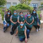 Professional Eco Cleaning Professional Eco Cleaning